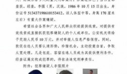 四川枪击案爆料最新消息,悲剧再起，警方全力调查中